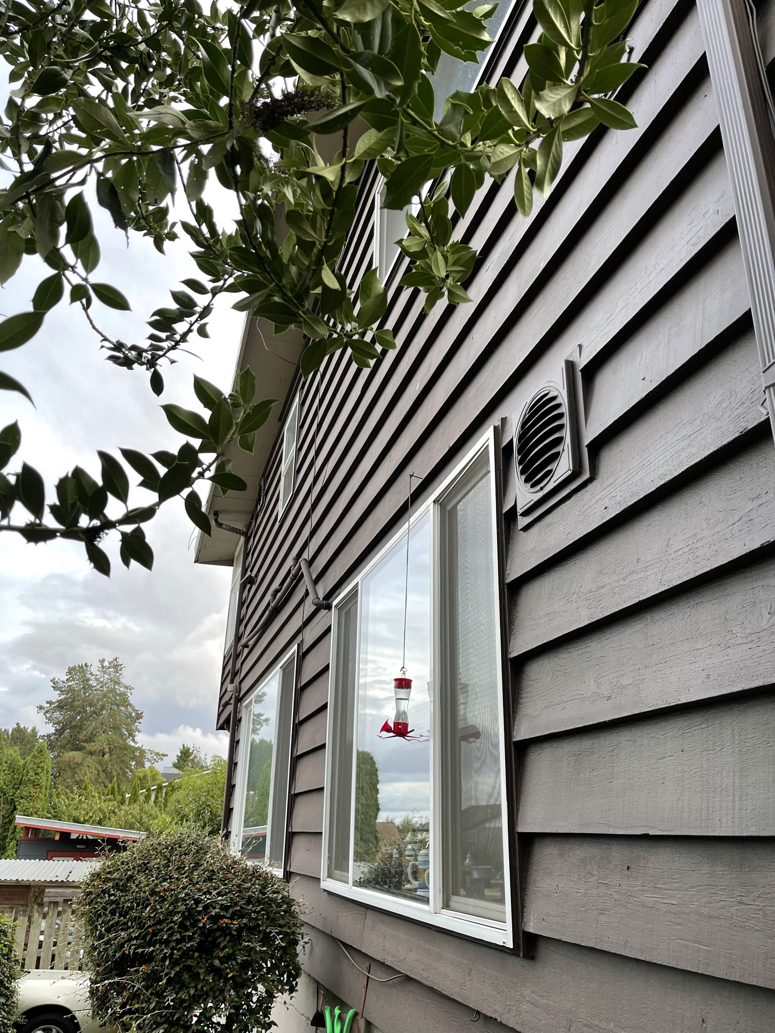 Magnolia Urban Neighborhood Studio