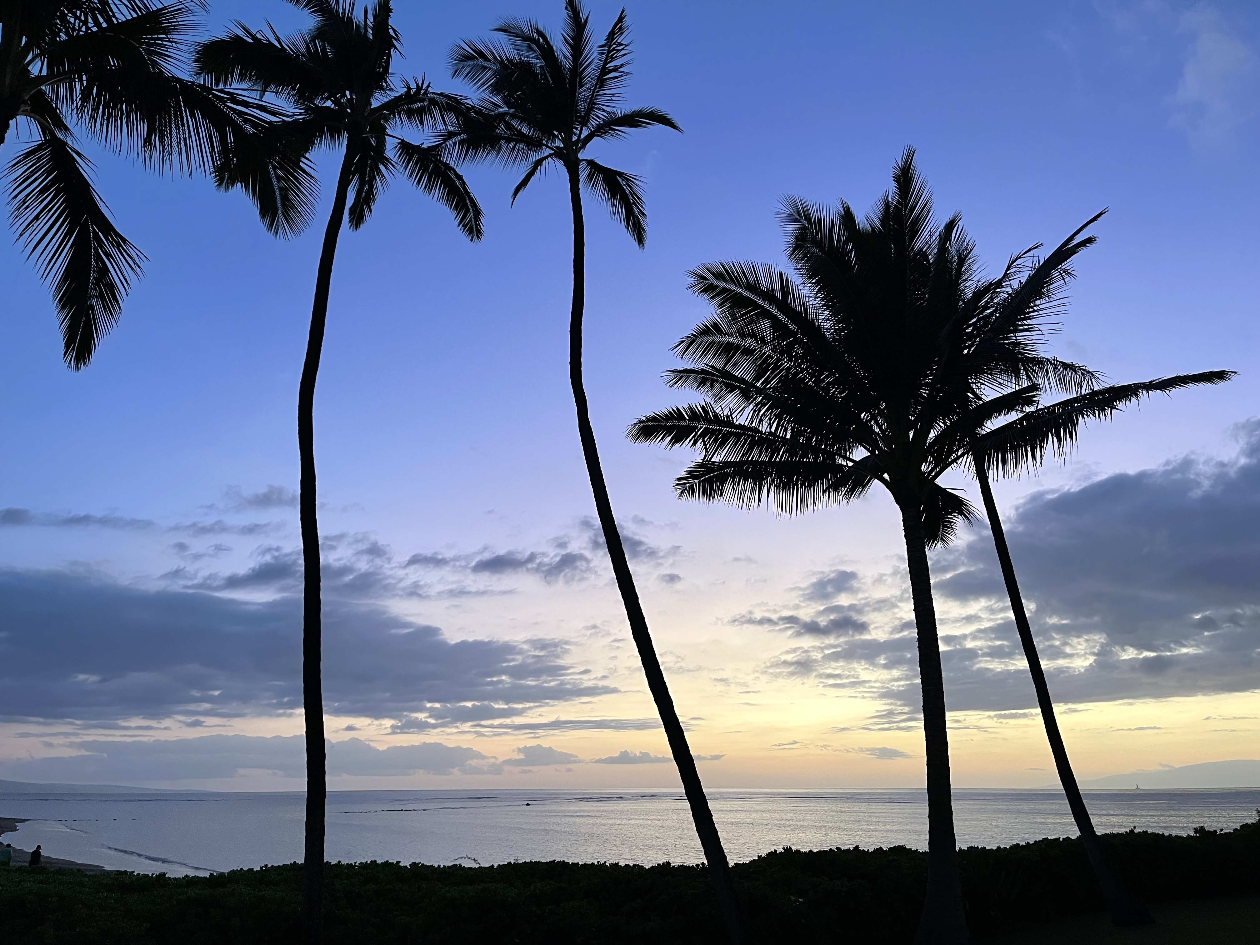 Maui